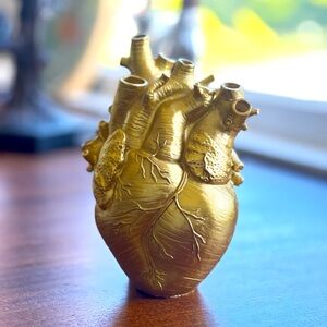Anatomical Heart Vase